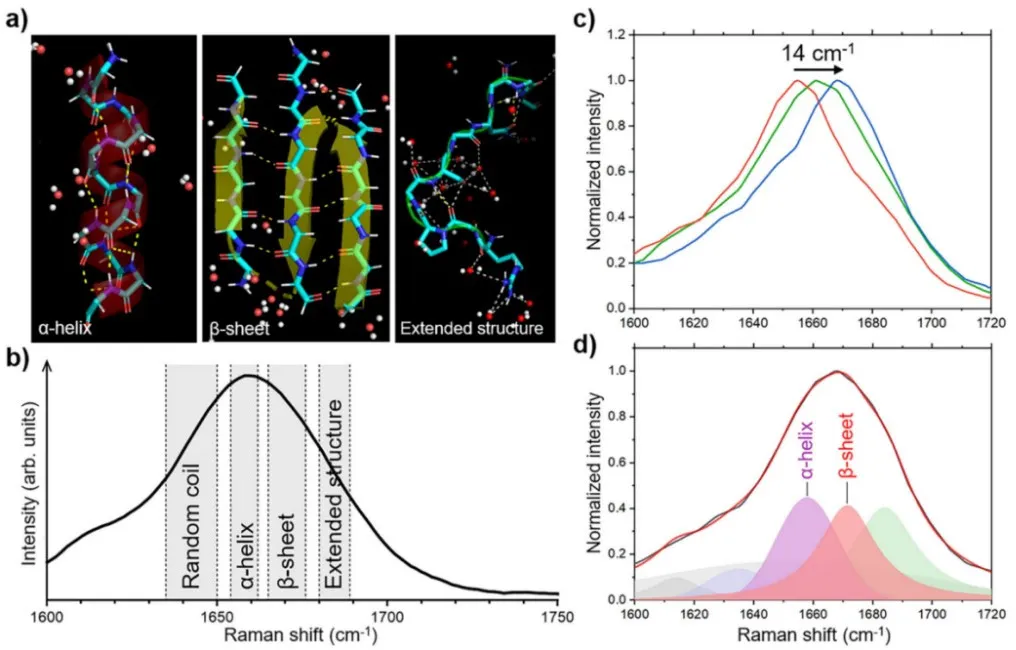 高光谱相干拉曼 SRS图3.png