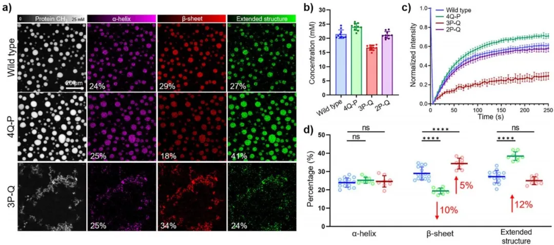 高光谱相干拉曼 SRS图1.png