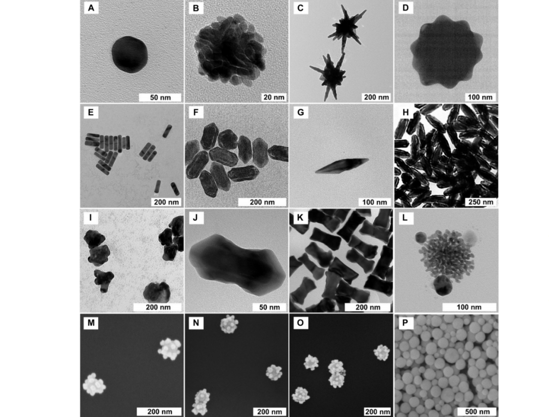 研究团队对27种不同形貌、尺寸的金基纳米颗粒进行的系统性筛选与性能对比