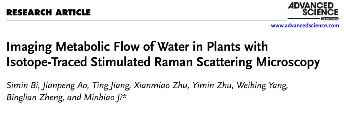 Advanced Science的研究论文成果