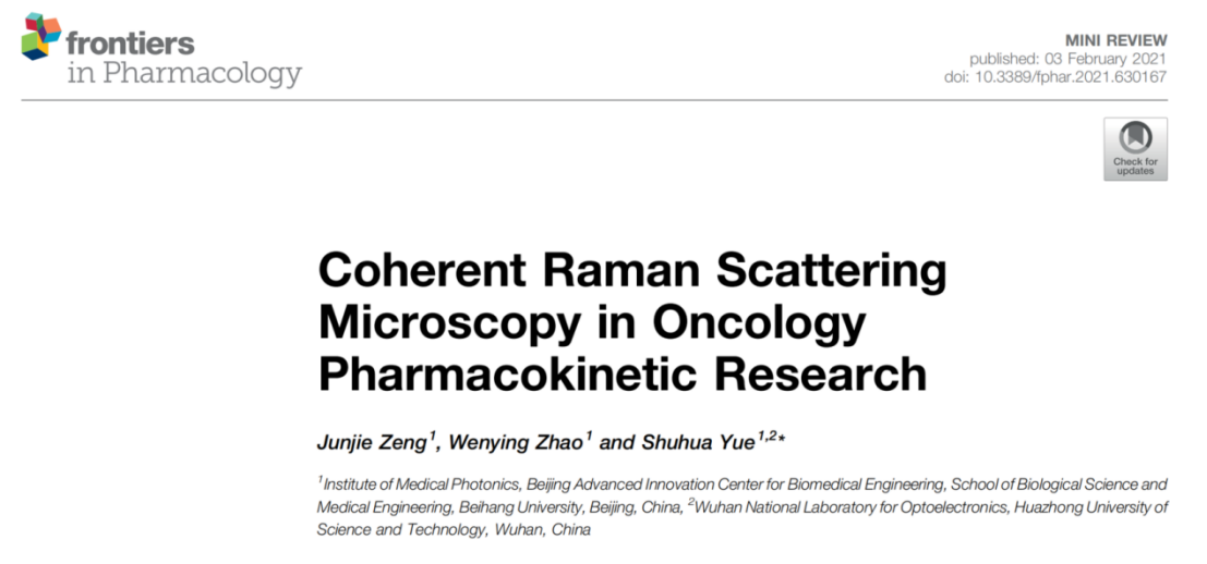 Coherent Raman Scattering Microscopy in Oncology Pharmacokinetic Research