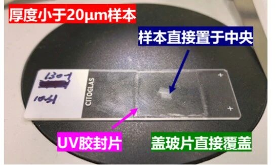 相干拉曼植物成像样本制备