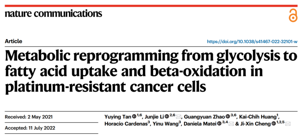 Metabolic reprogramming from glycolysis to fatty acid uptake and beta-oxidation in platinum-resistant cancer cells