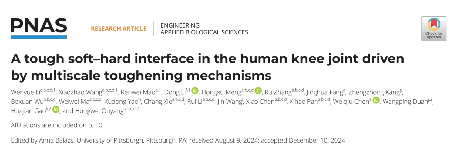 A Tough Soft - Hard Interface in Human Knee Joint Driven by Multiscale Toughening Mechanisms
