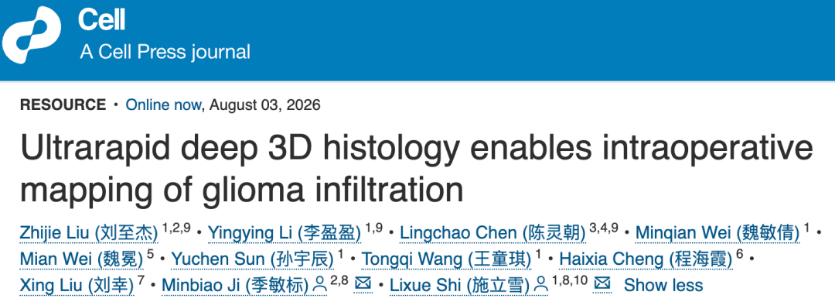 Ultrarapid deep 3D histology enables intraoperative mapping of glioma infiltration