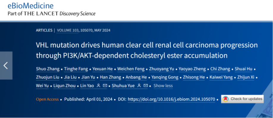 VHL Mutation Drives Human Clear Cell Renal Cell Carcinoma Progression Through PI3K/AKT-Dependent Cholesteryl Ester Accumulation