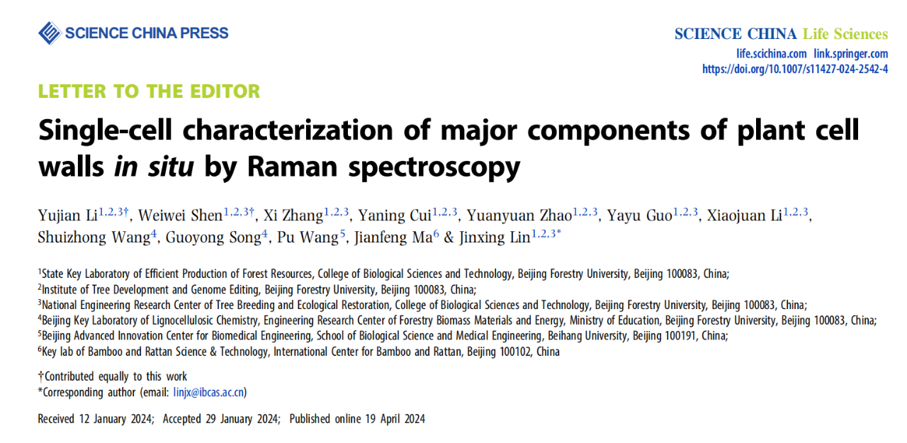 Single-cell characterization of major components of plant cell walls in situ by Raman spectroscopy