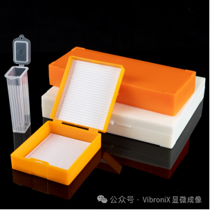 保存及运输盒