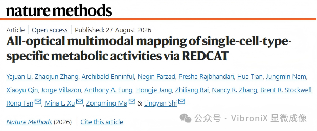 组织细胞图谱拉曼增强描绘方法（Raman Enhanced Delineation of Cell Atlases in Tissues，REDCAT）