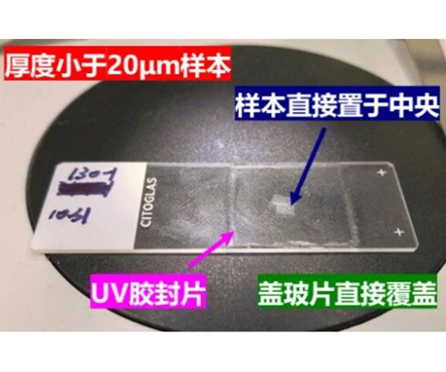 相干拉曼植物成像样本制备