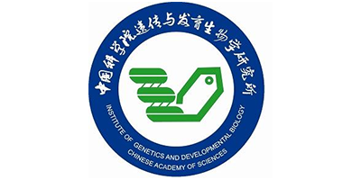 logo_09.png