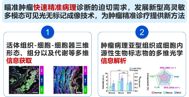 团队1.png