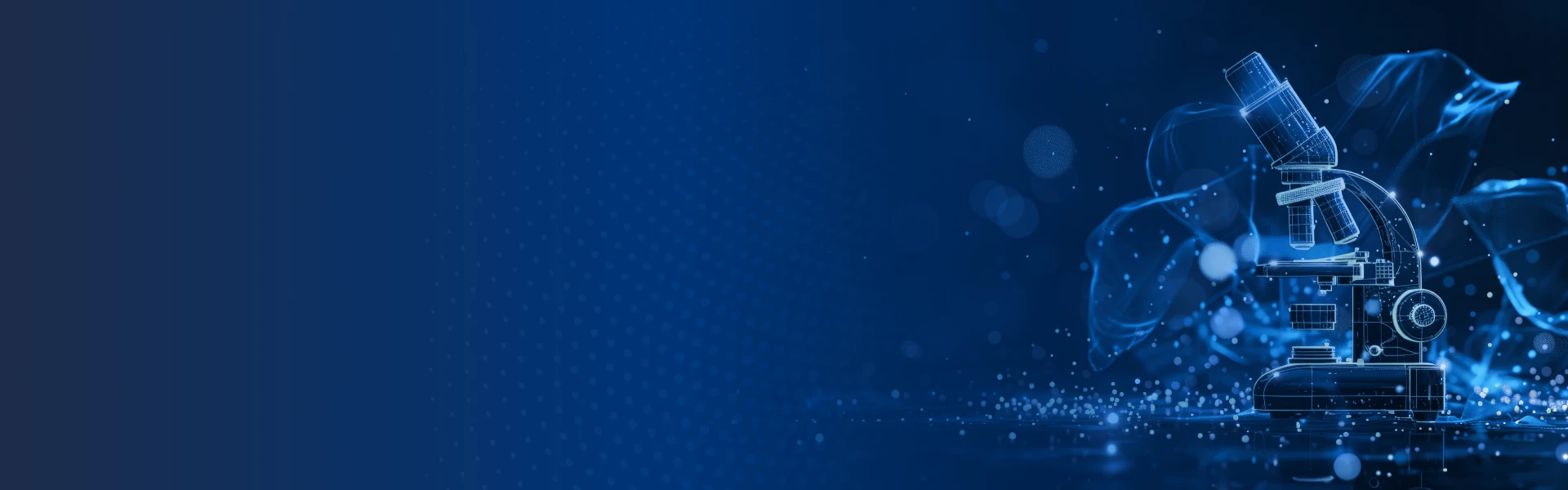 b1_bannerpc.webp
