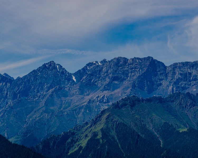 g1_bannerph.webp